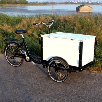 3-колесный электрический грузовой трехколесный велосипед с закрытой кабиной известного бренда, 6-ступенчатый трехколесный велосипед с мотором